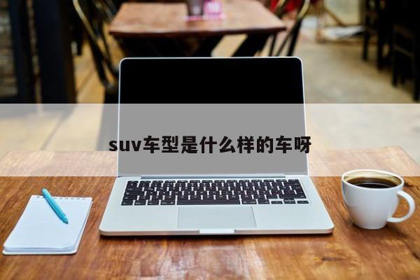 suv车型是什么样的车呀