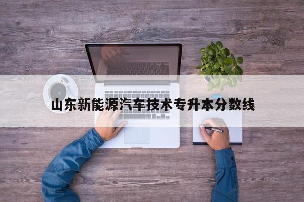 山东新能源汽车技术专升本分数线